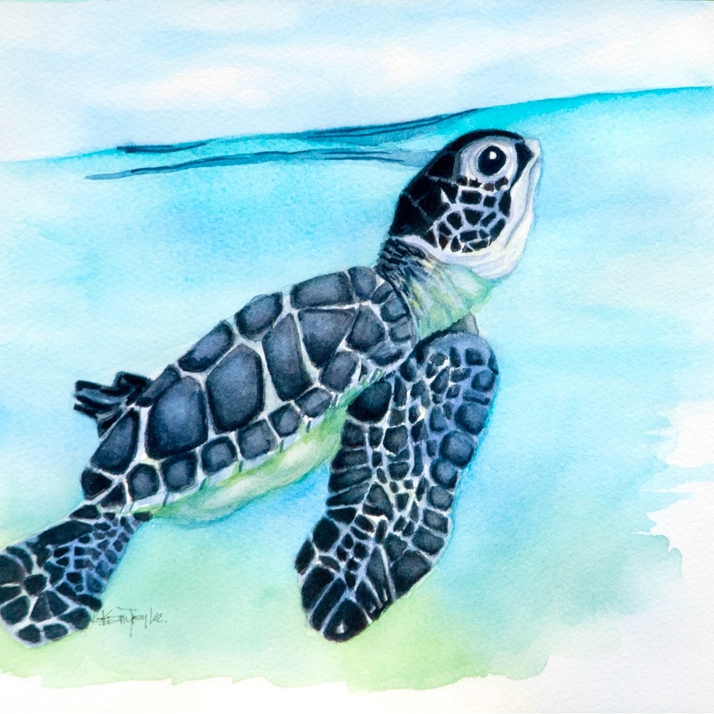 Sea Turtle Watercolor Art